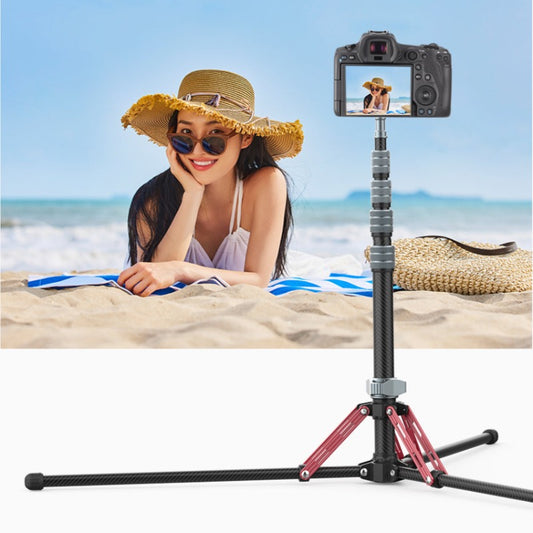 Full Carbon Fiber Multifunctional Portable Light Tripod